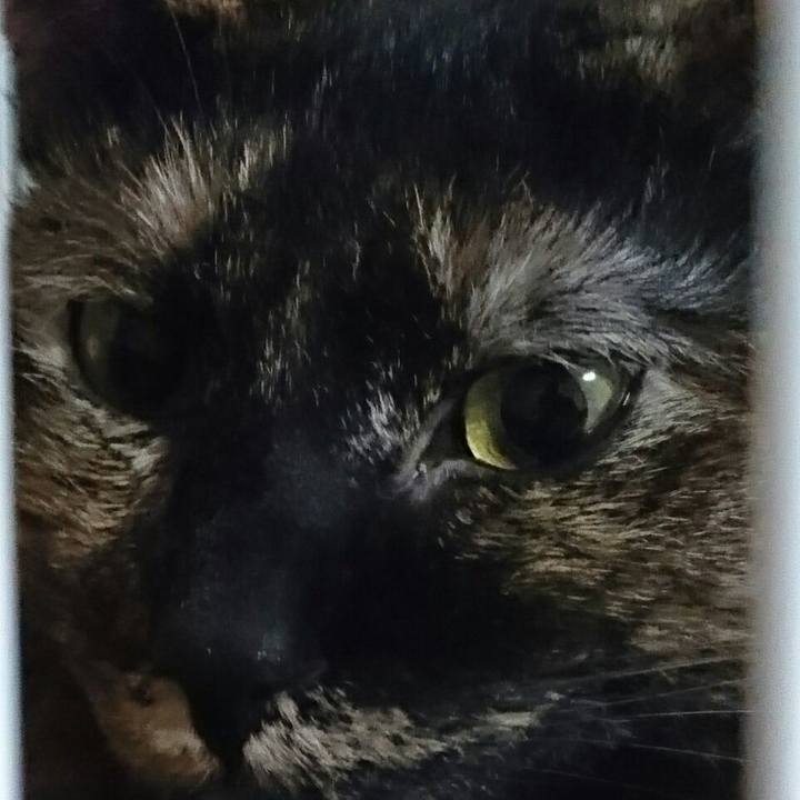 E95370b6 6924 4fb3 89d5 9228e7ce9c1e