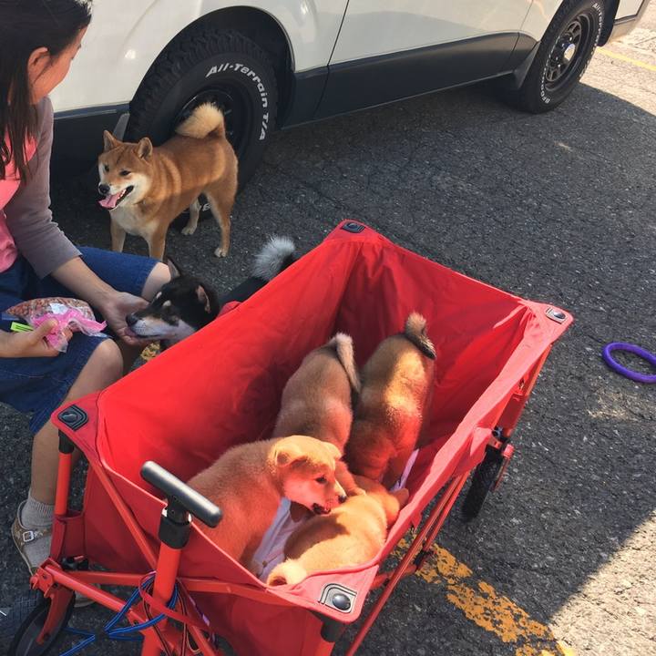 E953784d 5009 43a3 94a0 ec784d7dd59f