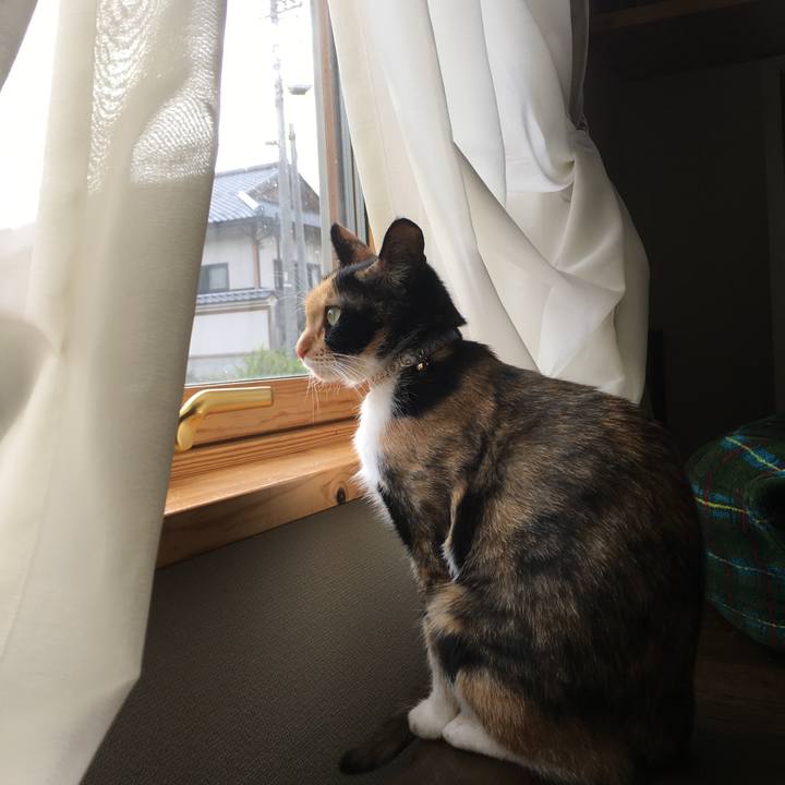 E953aa91 ef5f 48c4 8b8f 1e2700d667c9