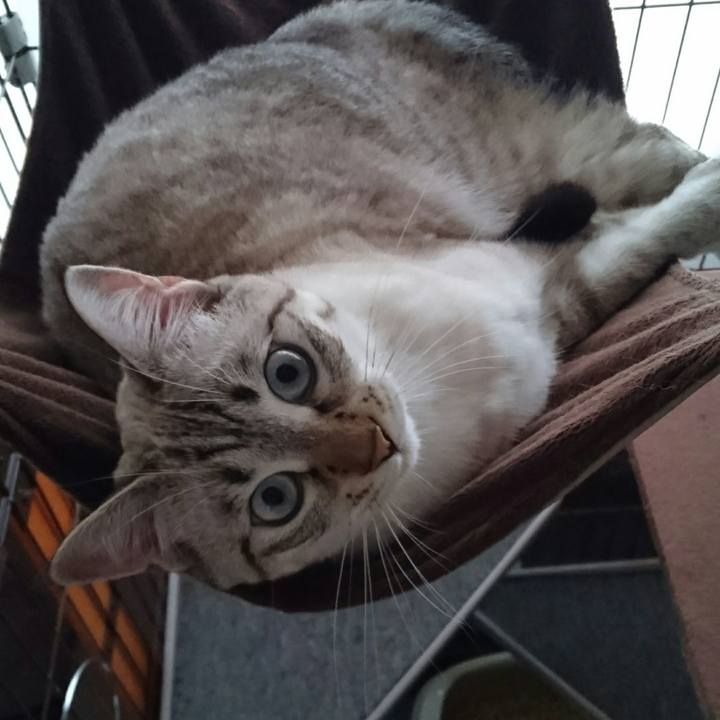 E954e4e9 8cca 42f5 a323 4730d3c62540