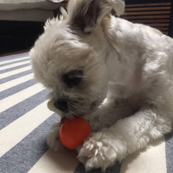 E955a84f fc86 4267 9eb9 eac47ee00761