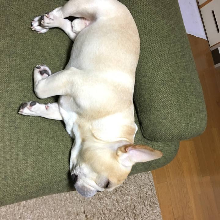 E955f69c e53c 4449 8bd6 e6e0585a731b