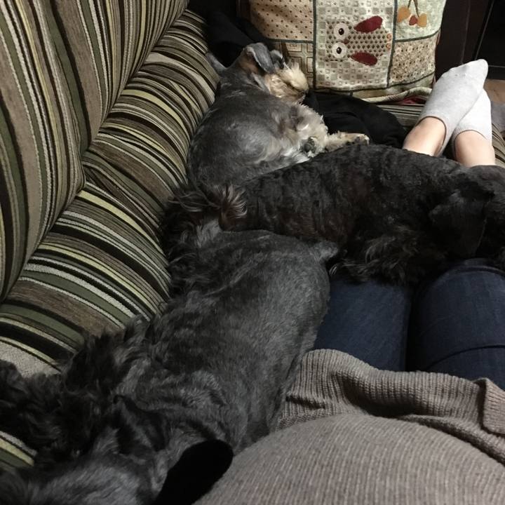 E956a205 c8e0 4d5c 9d34 457c1cb3a1e9