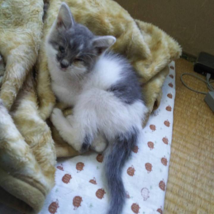 E956d5cf fc14 46bf b9df 6fb2ef203294