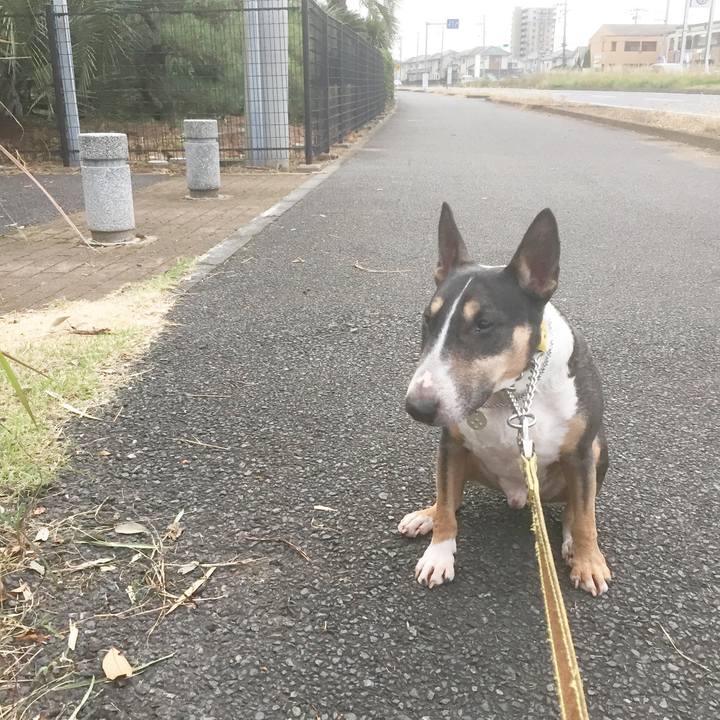 E956ddc6 2665 41db be20 2d3d9f3c609c