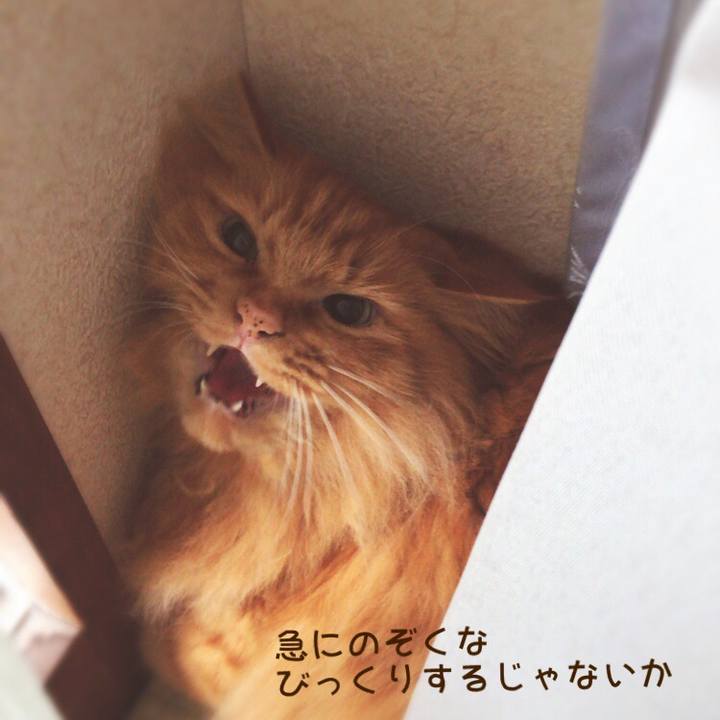 E956e0ff 2c4e 457d a06c 1cdb191db247