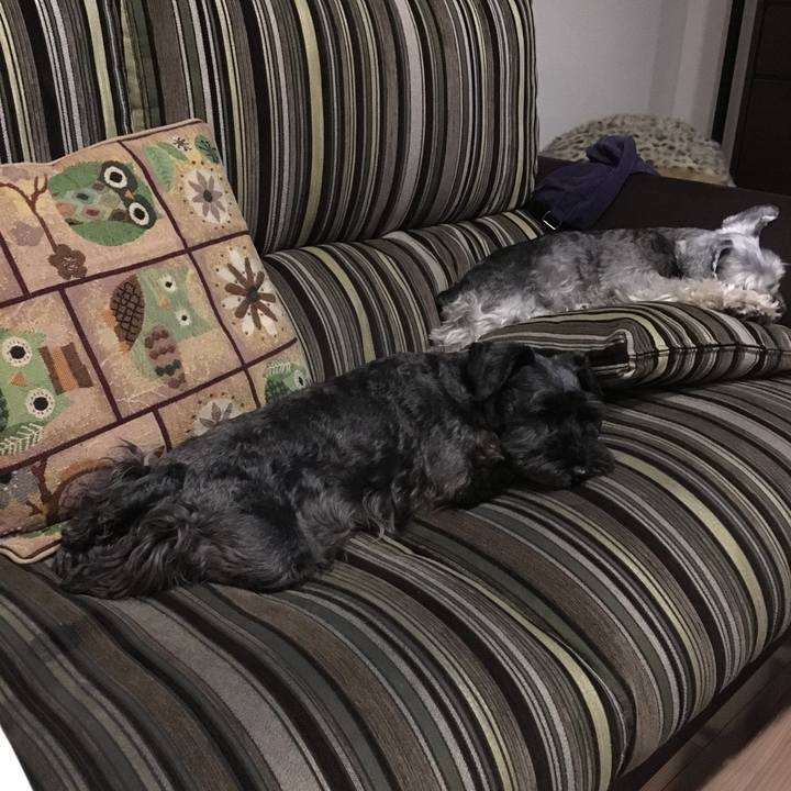 E957180f 9592 4963 a33b c6b4f2f4f825