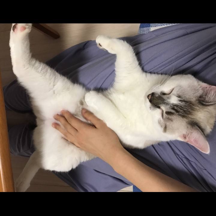 E957b64c 8055 4b10 a99e 462a44759771