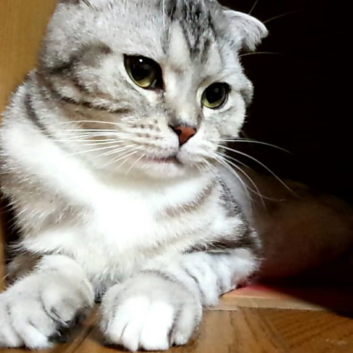 E957d16d 0c69 42df a7a6 65d109d87bb4