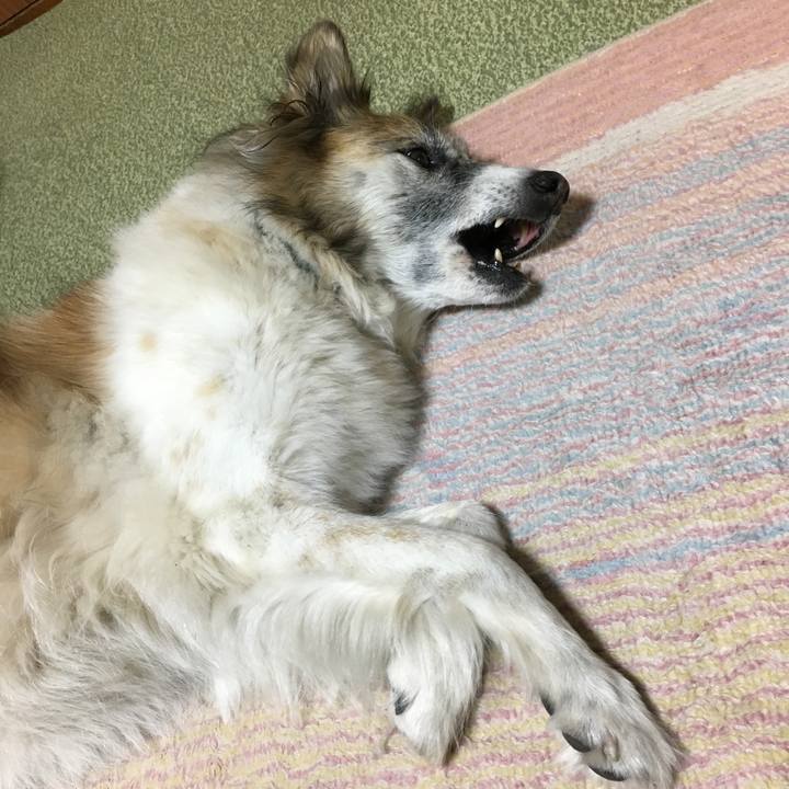 E957da54 0e28 4aff afc1 30be428904a5