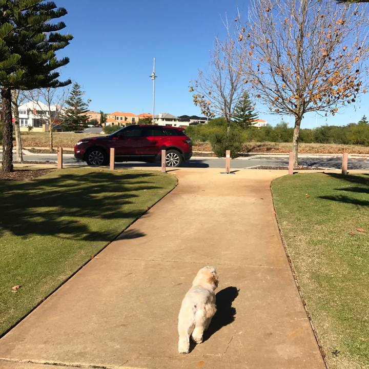 E9580b2f 508b 4334 9187 5e44fbbbe9d6