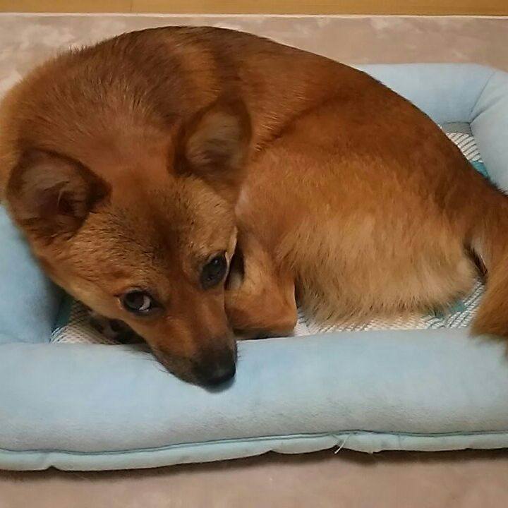 E95af30a d378 41a0 95f9 b5bfb33bf4b5