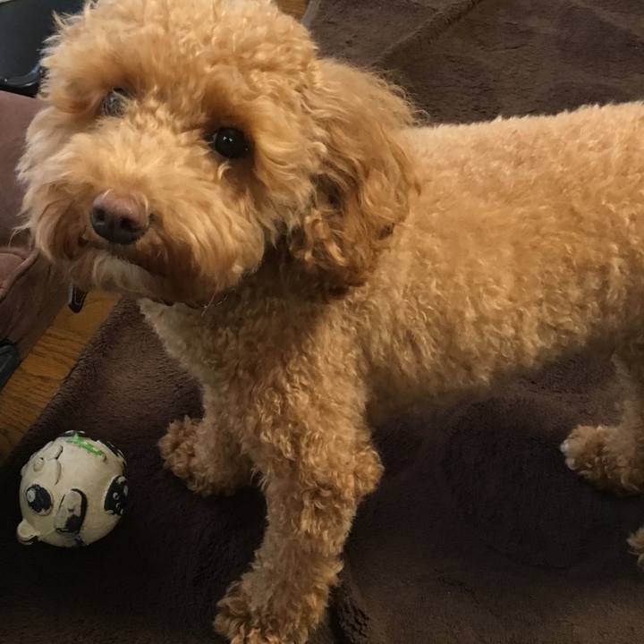 E95b4e94 751d 4493 9155 7c99f6e4d59e