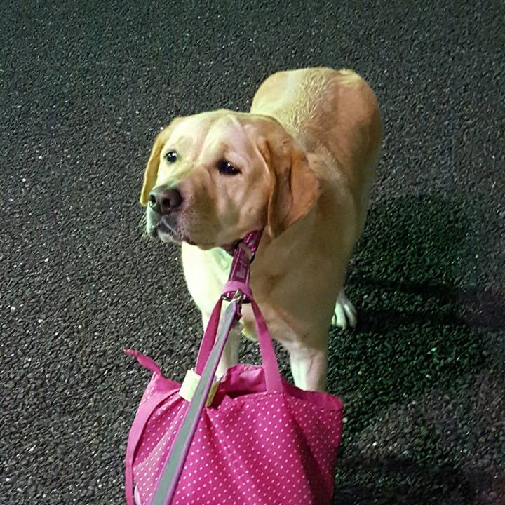 E95b6eeb 6f0d 4681 ac95 1fbc9963bfae