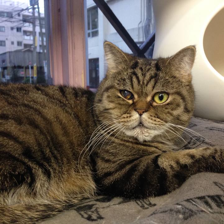 E95b7bd1 f3cd 418c b6b3 b560ab644f6d