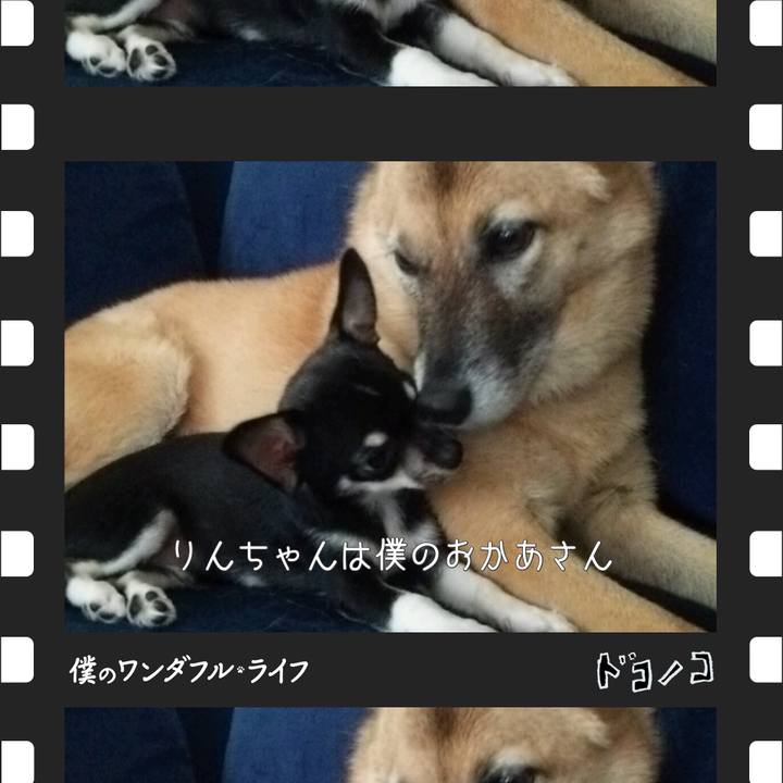 E95b7dc0 63d1 44bb b874 139b395559e1