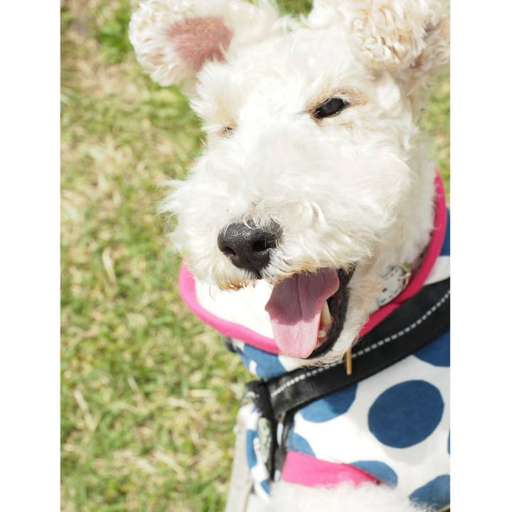 E95b9029 3726 4a0e 9d20 0ac7ea0500d4