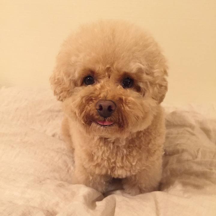 E95c4789 12b8 4c6b a9fa 849d3578c69e