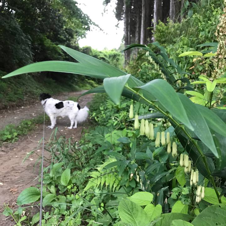 E95cc92d 0fa8 4f17 8cdb f84e4afa5042