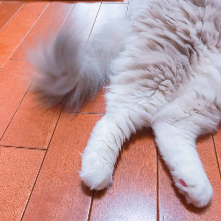 E95ccf1f d17c 4f4d 9526 228324abf805