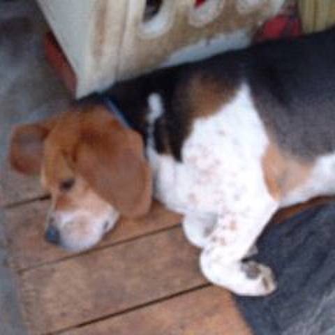 E95d4484 da9d 401a a60d db85b8245fe0