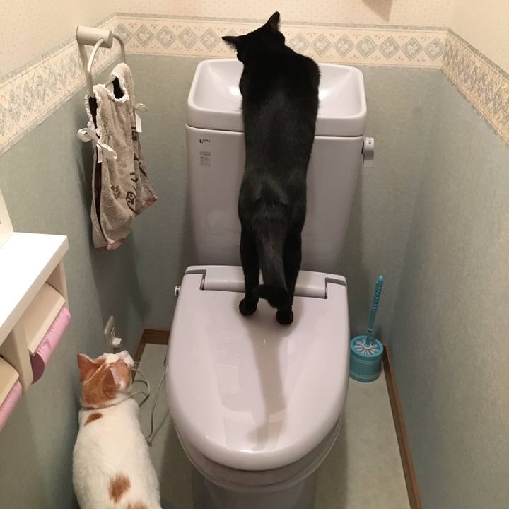 E95e54fb e2db 4b04 9414 b5723c646469