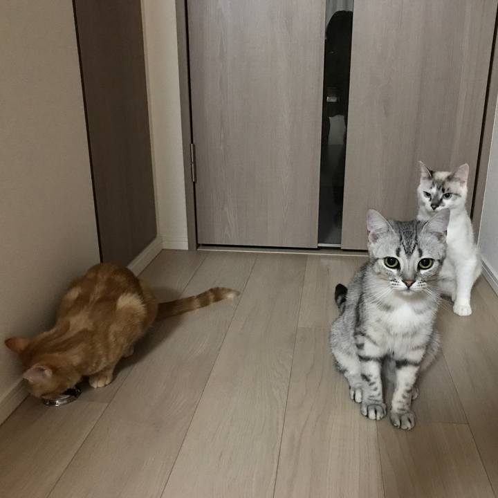 E95e84e9 4dcb 4c25 9064 2d25e1325c9e