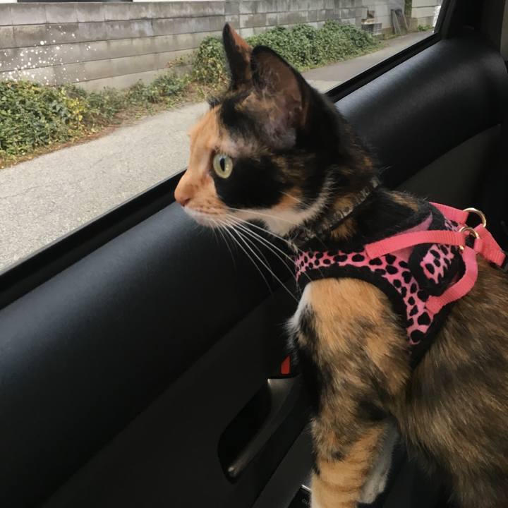 E95f6bff af45 42aa aab8 bdd10c19559f