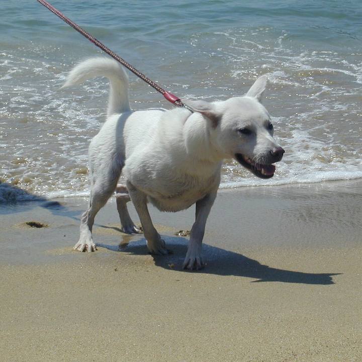 E95fc94e ca43 4b20 bd9a 556024af1b89