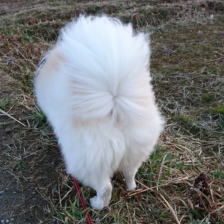 E95fcf27 41a8 4626 b460 7d8bc81877cd