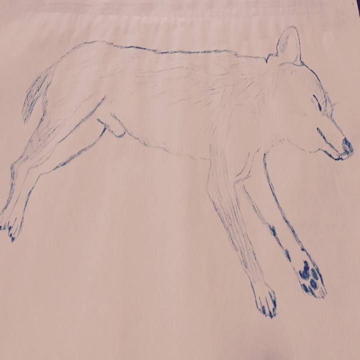 E9601d6f 748c 4448 af1c f853b3ee34f3