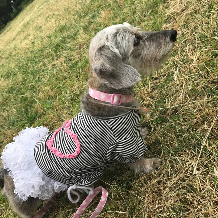 E9603de0 c5d4 4c45 90a1 31c2b3e09d29