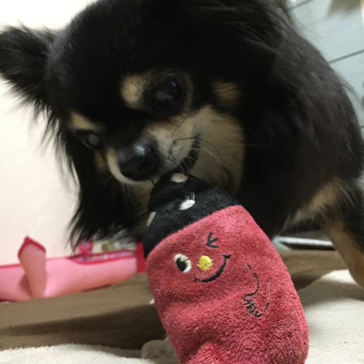 E9609707 68c4 4595 a327 762c9fcc532c