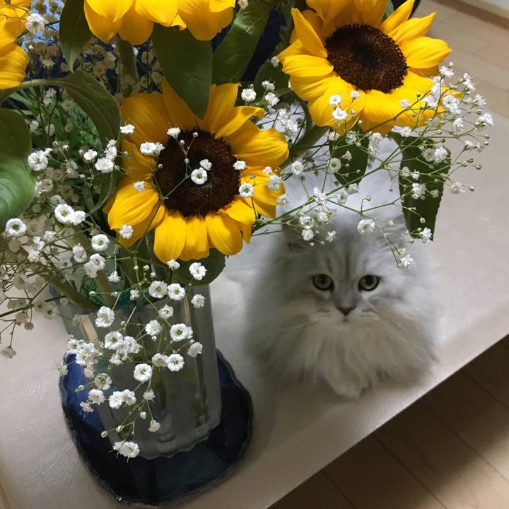 E9611b93 945c 4340 b6e1 5453ef52d144