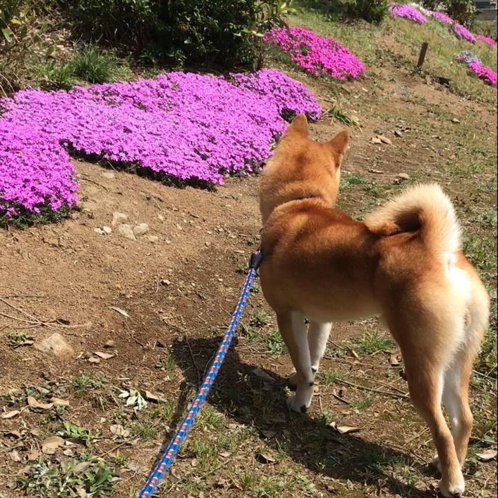 E9614b4b de96 42e0 9c7b 5506524abf69