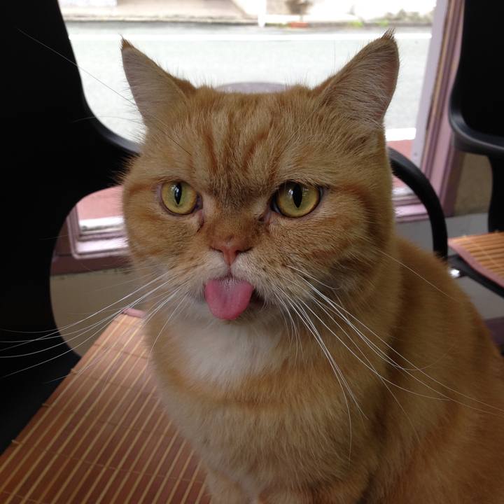 E961df9b 0f29 4657 91a7 078be297b237