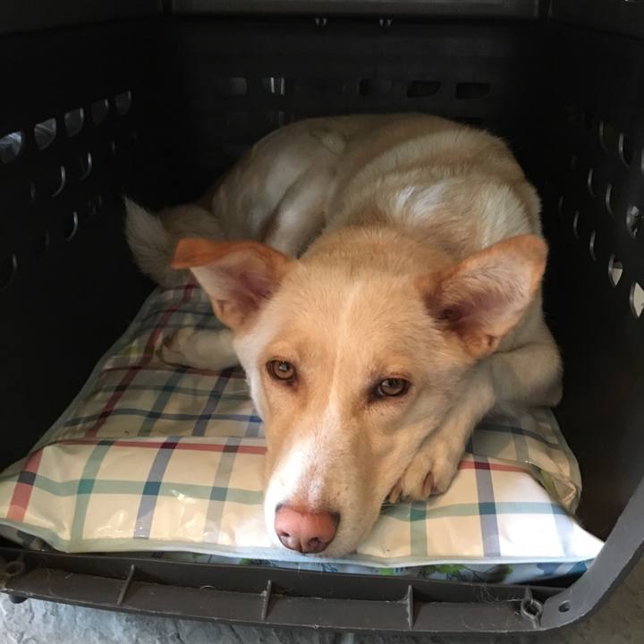 E9621adc 7ef3 4cdb 84a9 7576b0b87181