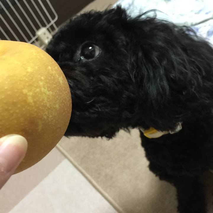 E9628e8e 985c 446c a119 b330e8e21d2d