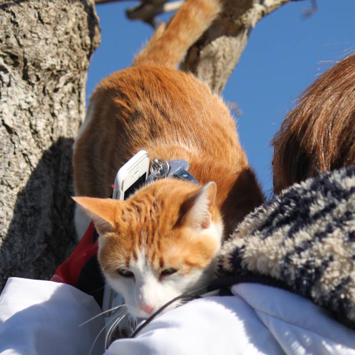 E96343f9 1c78 4316 821f ea5360eb9ac3