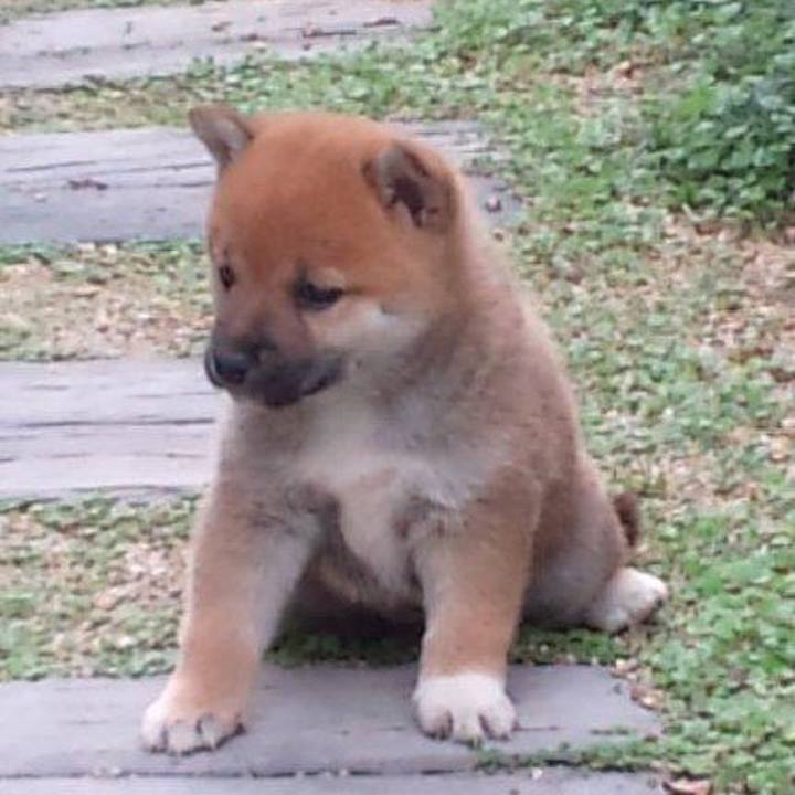 E963ec38 1643 4a73 9a5c db8cdca2905e