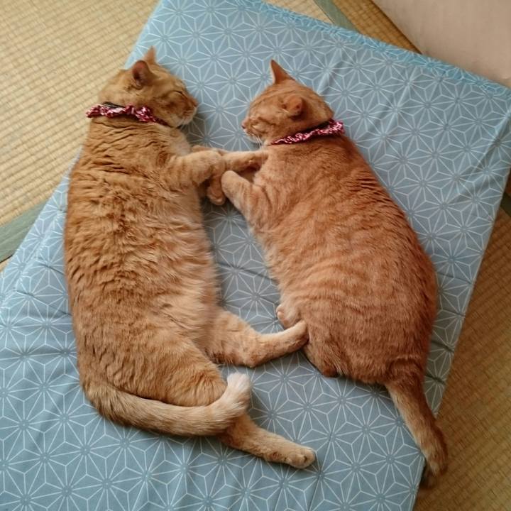 E9646150 4aa7 486d 89ca a7c88d5b69ec