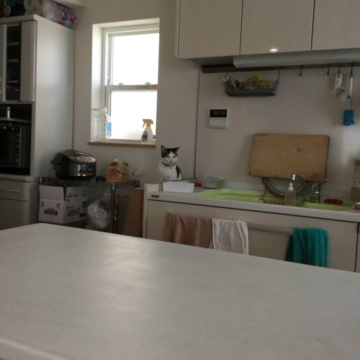 E96476bf 5ace 4fef 8b80 787721eba2d8