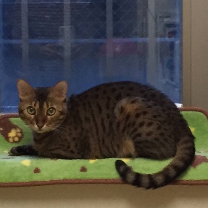 E9649ae4 597c 416b 8109 426f2b6eebc1