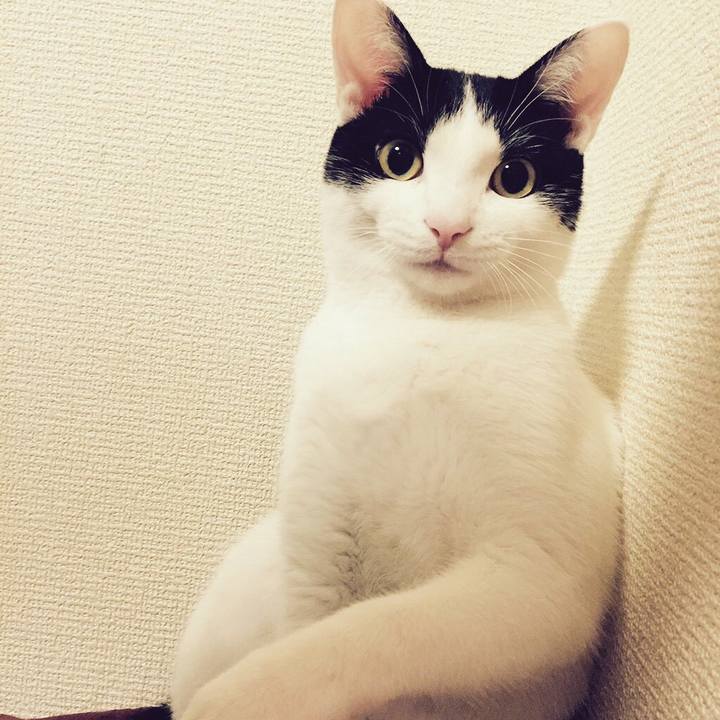 E964bbb4 b596 4df7 a192 2cefceaa691e