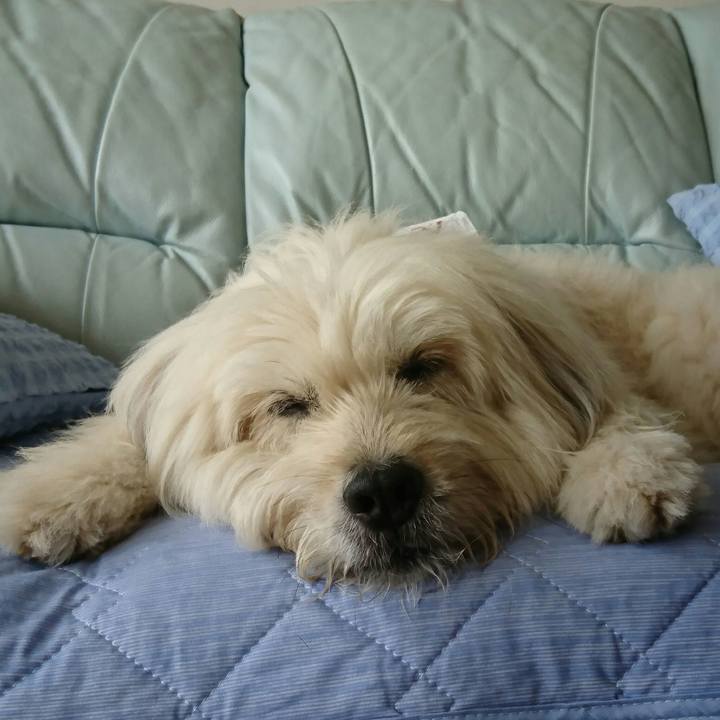 E964c193 0ba1 40a3 aa35 07eb5205e263