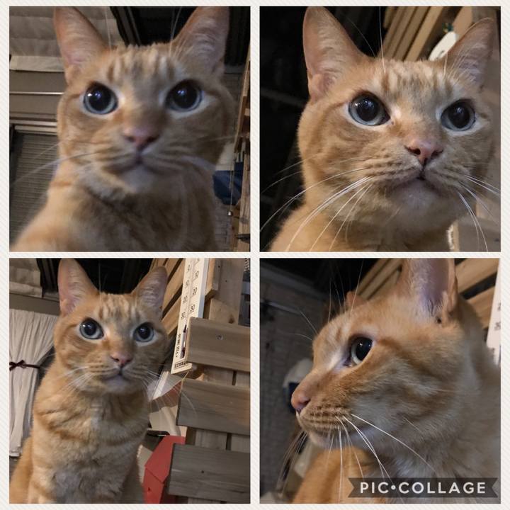 E964e3ca d624 4d53 a341 c29424539061