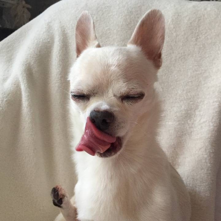 E9660b08 eaf1 46dd b7b6 3cf53eaa7260