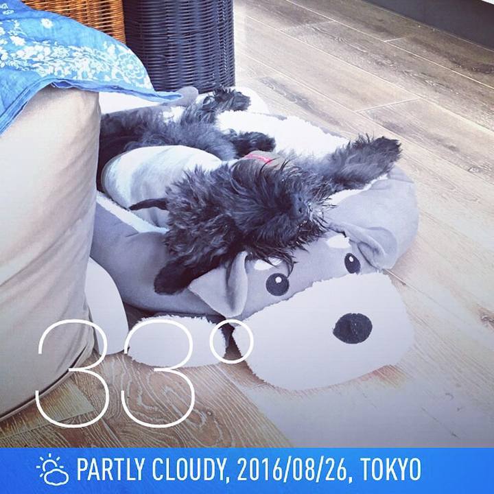 E966b2a0 75d5 4837 852d b55e53a77a5d