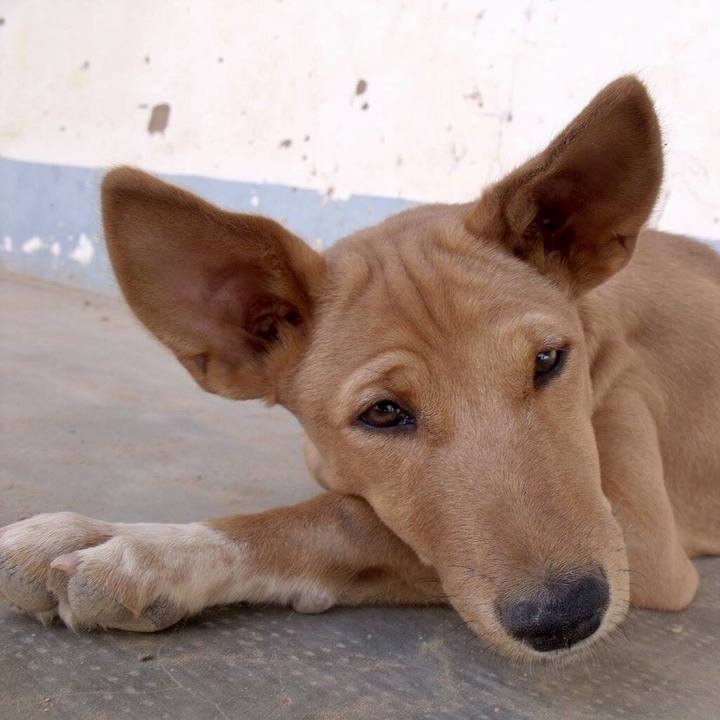 E966e221 ed63 4911 9d39 b4ffdbe7c493