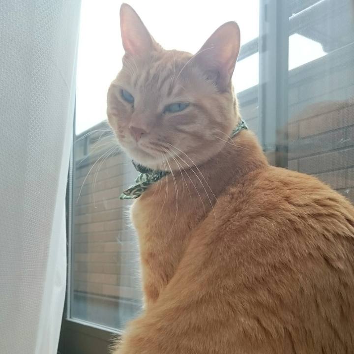 E9670f1c c102 42c8 b1d3 b5e89d5110d1